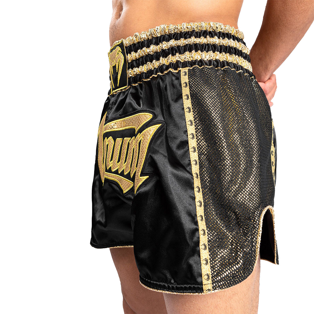 Venum Absolute 2.0 Muay Thai Shorts - Black/Gold