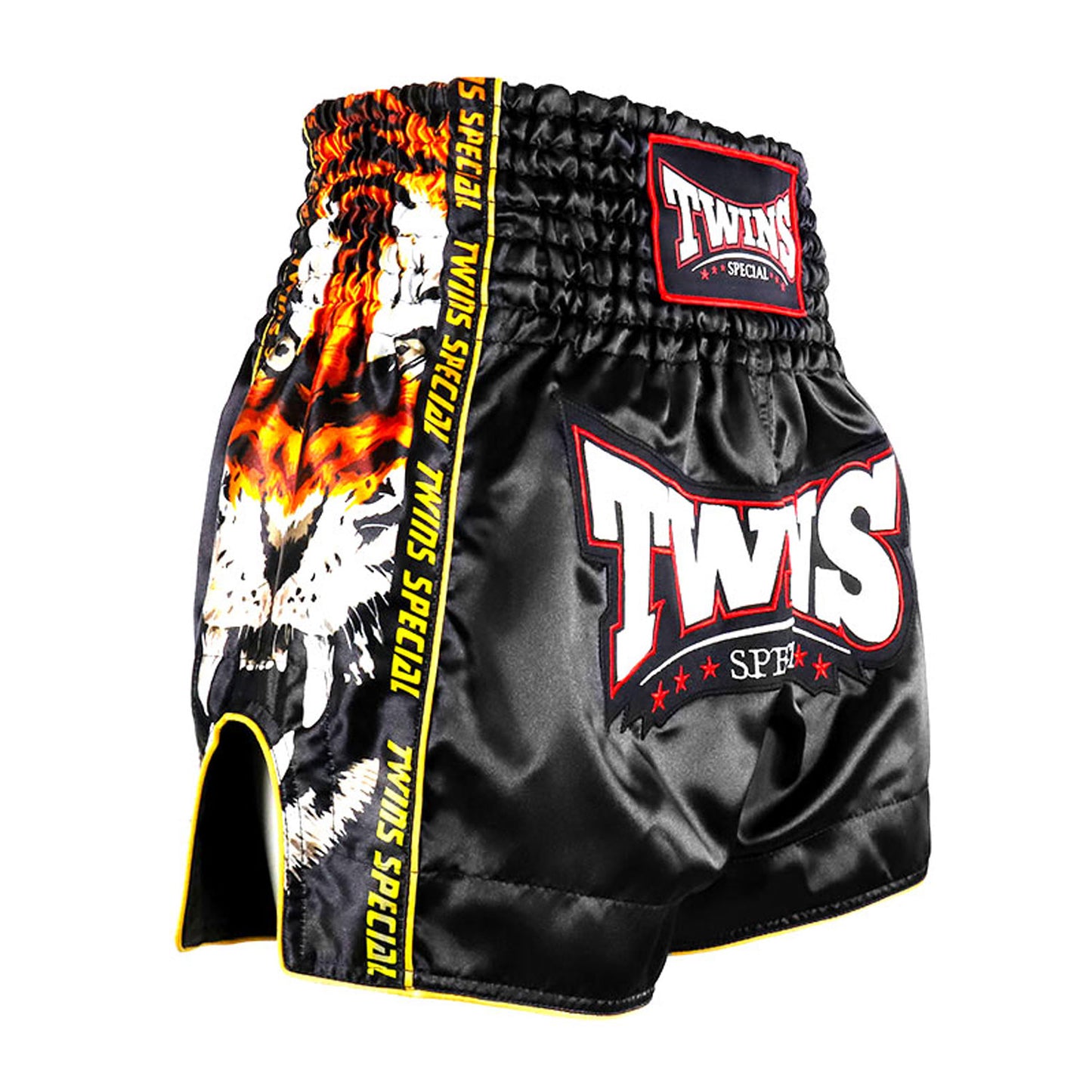 Twins Muay Thai Payak Fight Shorts